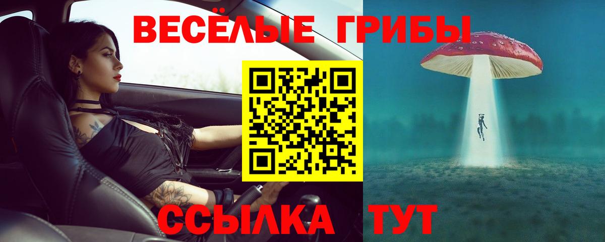 Галлюциногенные грибы Magic Shrooms  купить наркоту  Вход с VPN  Рыбинск  Псилоцибиновые грибы Psilocybe 